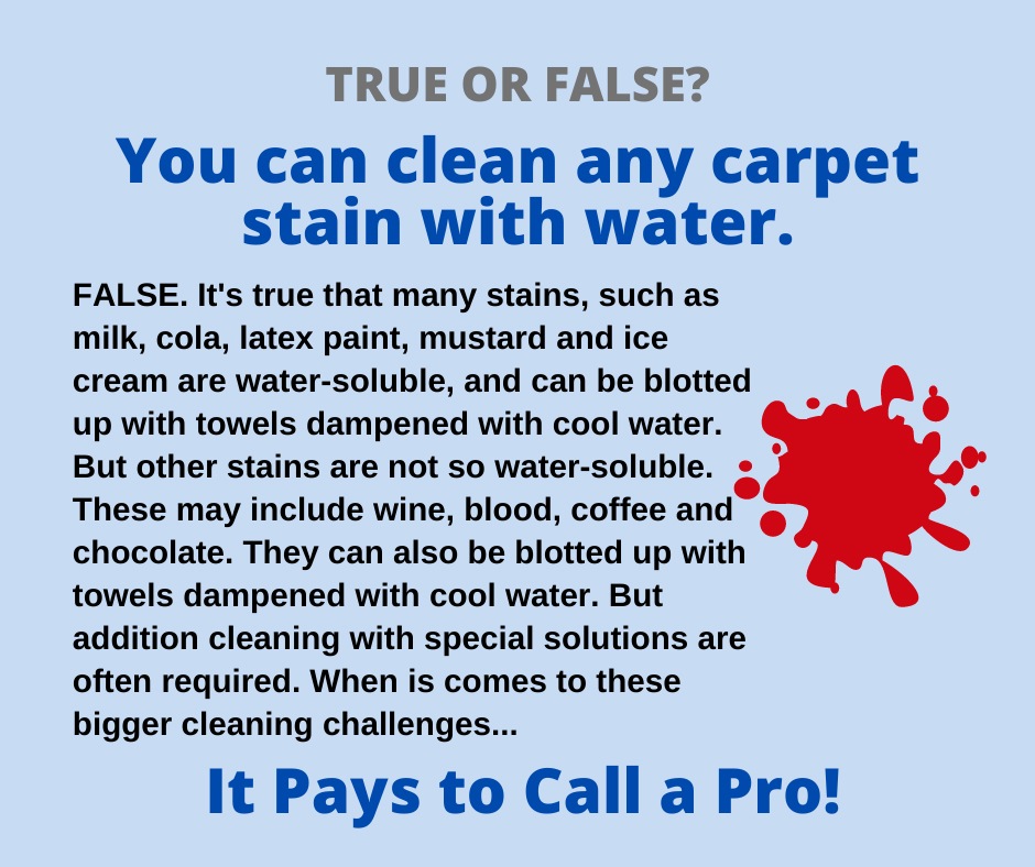 clean any carpet stain with water