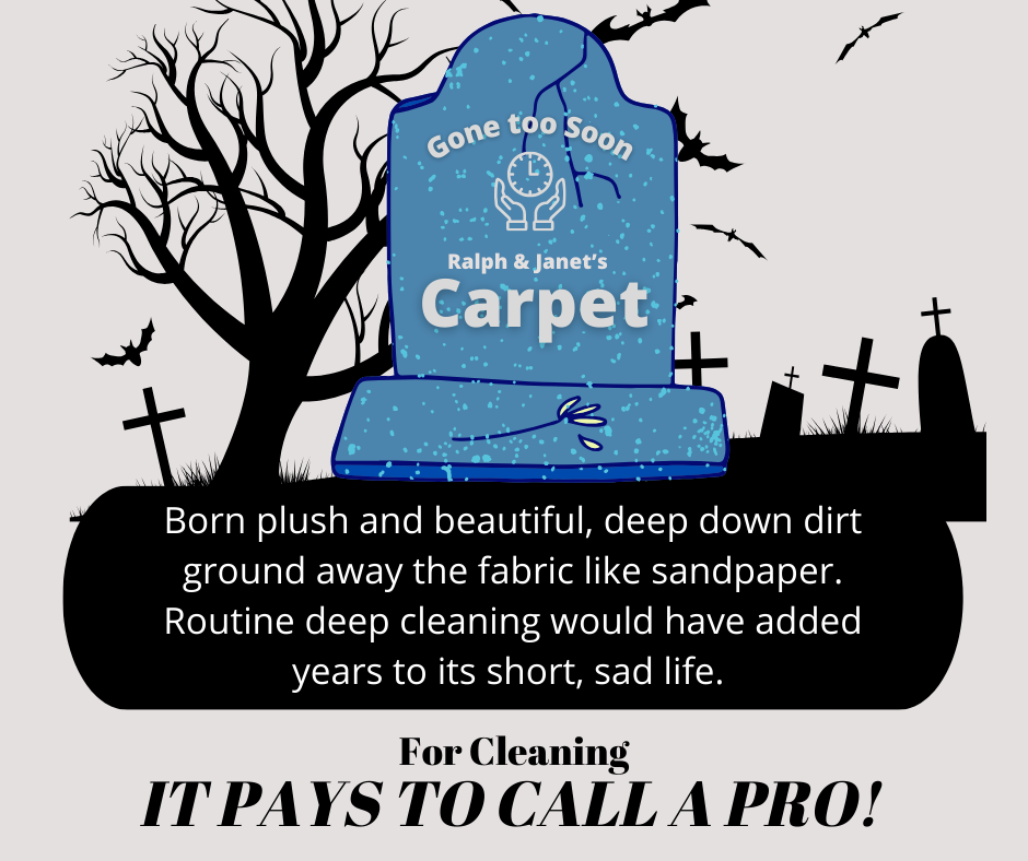 JUNE 2024 Carpet ONE A