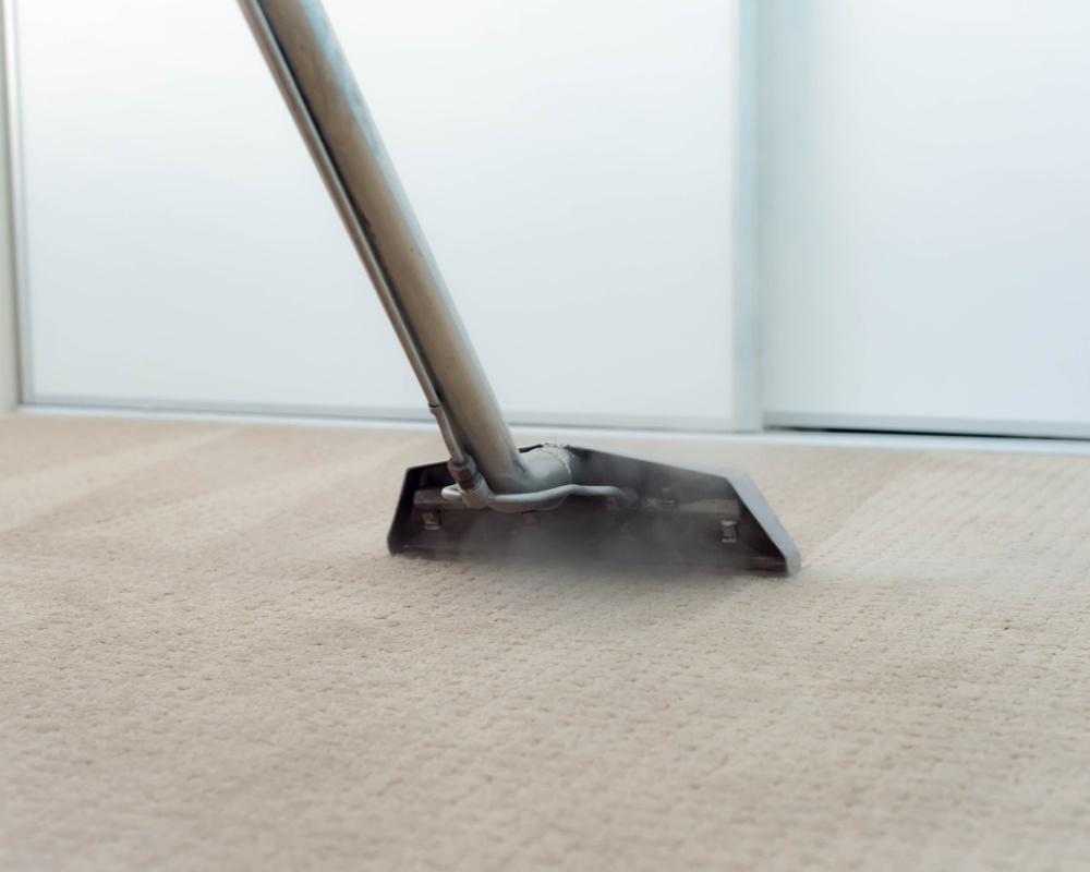 carpet cleaning norton ma
