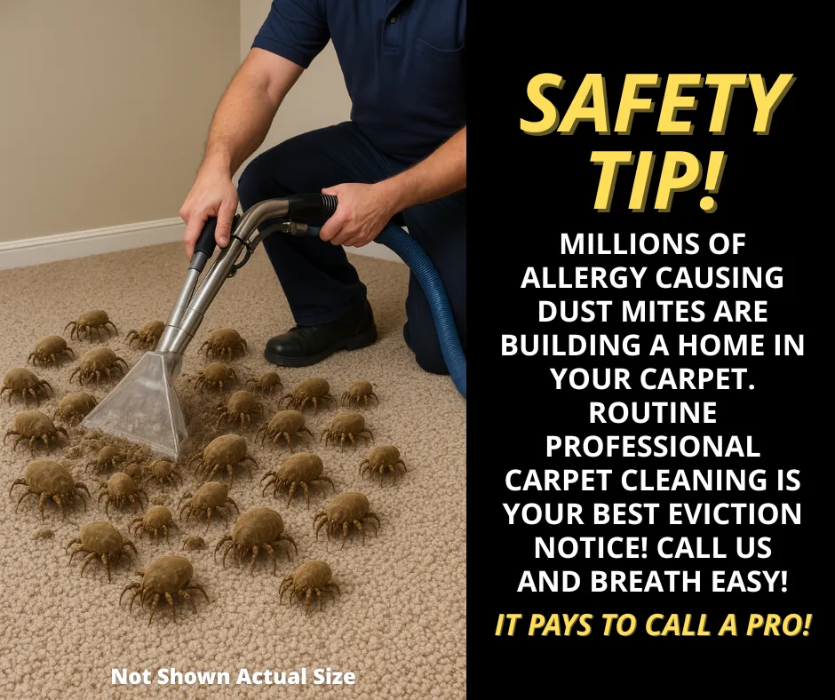 Jan 2026 Cleaning Graphic 1